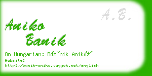 aniko banik business card